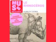 Le Rhinocéros d'Albrecht Dürer
