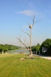 Giuseppe Penone, Triplice, 2011, © Adagp, Paris, 2025