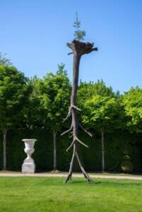 Giuseppe Penone, Le Foglie delle radici, 2011, © Adagp, Paris, 2025