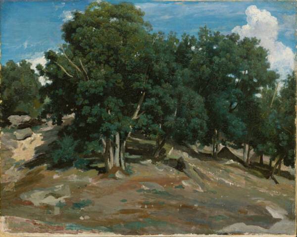 Fontainebleau Ch&ecirc;nes noirs du Bas-Pr&eacute;au - (1832-1833) - Jean-Baptiste Camille Corot